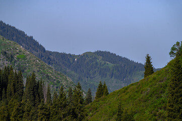 Obraz premium mountain landscape with trees
