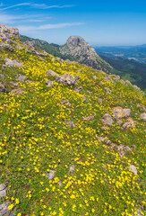 Primavera mirando al monte Mugarra, Duranguesado