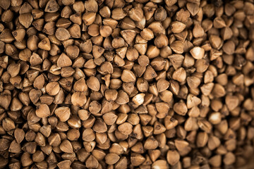 Buchweizen Fagopyrum esculentum auf Olivenholz