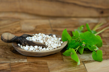 Buchweizen Fagopyrum esculentum auf Olivenholz