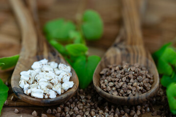 Buchweizen Fagopyrum esculentum auf Olivenholz