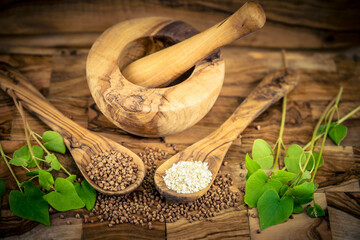 Buchweizen Fagopyrum esculentum auf Olivenholz