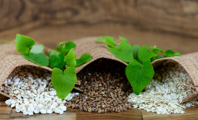Buchweizen Fagopyrum esculentum auf Olivenholz