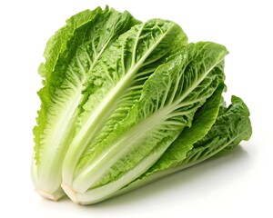 Fresh, Vibrant Bok Choy Ready for a Healthy Meal