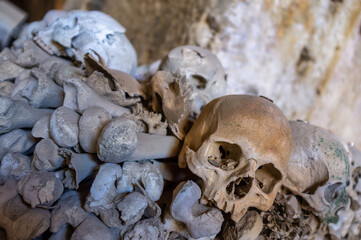 Human Skulls and Bones in Ancient Burial Site