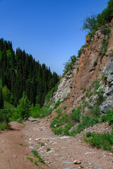 mountain road in the mountains