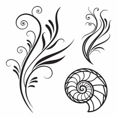 Elegant floral swirls and nautilus shell design elements