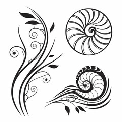 Nautiluses and floral swirls black and white design