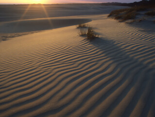 golden sand ripples wind sunlight texture.
