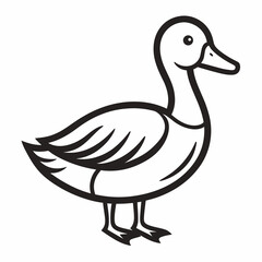 Simple Line Drawing of a Domestic Duck Bird