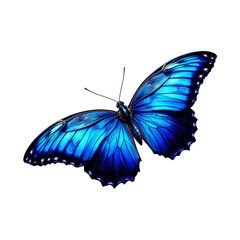 vibrant blue butterfly with open wings isolated on white PNG