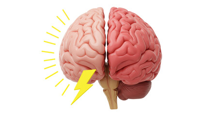 Isolated Human Brain With Lightning