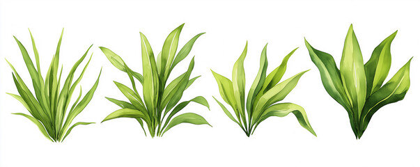 Set of illustrated green leafy plants with various shapes and shades of foliage, arranged in a row on a white background