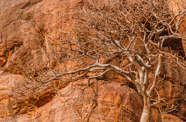 Massive sandstone canyon at Badami, Path through cliffs, Entrance archway for lower and upper Shivalaya, Badami, Karnataka, INDIA