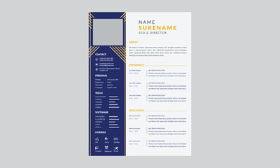 Corporate and professional resume curriculum template design