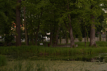 man walking in the park