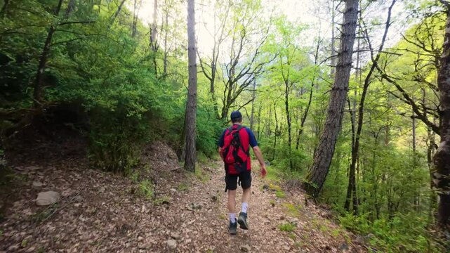 Hiker with backpack walking through forest trail among green trees in Badain, Sobrarbe, Aragonese Pyrenees, spring hiking adventure filmed in motion and 4K UHD quality.
