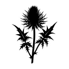 Thistle Silhouette vector illustration