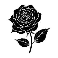 Rose Silhouette vector illustration