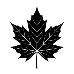 Fototapeta premium Maple Leaf Silhouette vector illustration