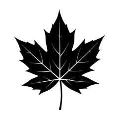 Maple Leaf Silhouette vector illustration