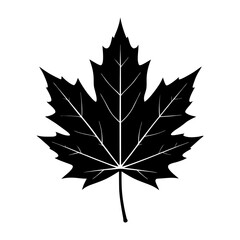 Maple Leaf Silhouette vector illustration