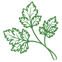 Fototapeta premium Green parsley sprig with fresh leaves on a white background 