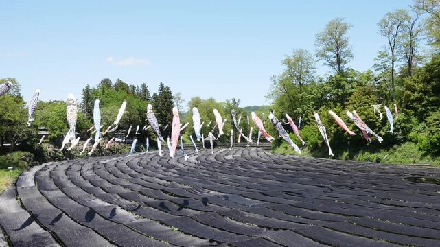 安曇野大王わさび農場