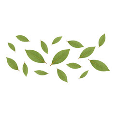 Bay leaves floating in the air on transparent PNG background
