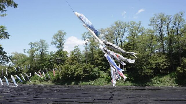 安曇野大王わさび農場