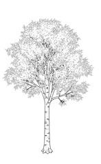 Trees_Axonometric view 
