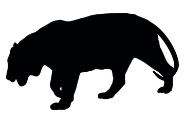 Silhouette of a black panther stalking low to the ground on a white background
