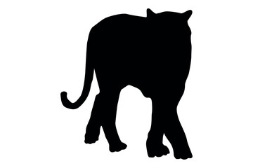 Black silhouette of a tiger walking away from the viewer on a white background