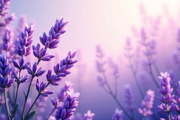 Obraz premium Whirlwind of pastel lavender, abstract geometric shapes, light watercolor , illustration, modern