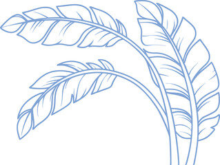 Elegant banana palm leaf line art illustration in blue on white background. Minimal tropical foliage design for botanical prints, and fabric. Clean, high-resolution vector artwork.
