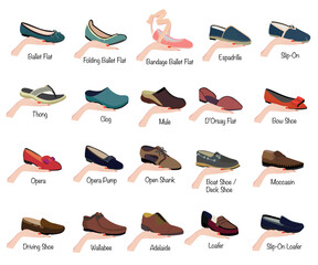 Set of Footwear Collection with name Vector Art
