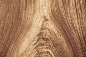 Beautiful brown wood texture background.