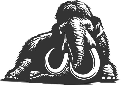 black and white mammoth lying down clip art preview
