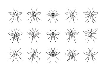 Mosquito line art vector bundle, Mosquito line art 