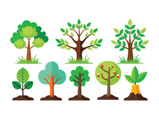 Fototapeta premium Collection of flat style green trees and saplings illustrations 