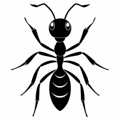 Ant vector and black design and white background