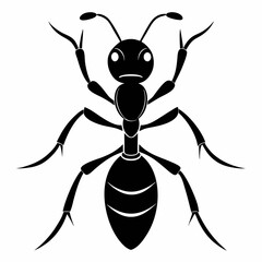 Ant vector and black design and white background