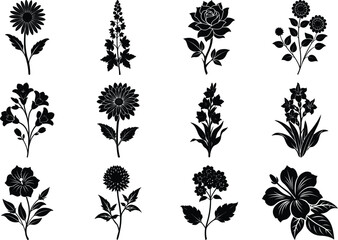 Fototapeta premium Plants silhouettes, Decorative floral design elements, flowers silhouettes on white background,