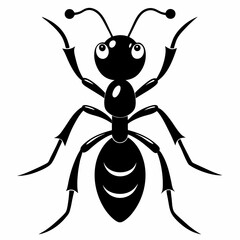 Ant vector and black design and white background