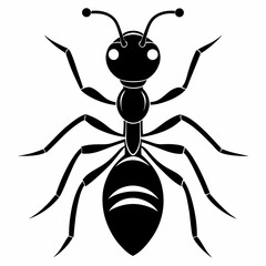 Ant vector and black design and white background