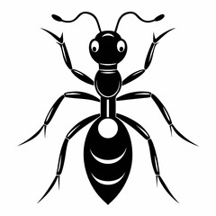 Ant vector and black design and white background