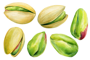 Watercolor illustration of pistachio nuts in shell and without. Hand painted food clipart collection for design projects
