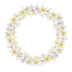 Round lush frame, wreath of white plumeria flowers. Isolated watercolor illustration for wedding print design, tableware, textile printing, interior design.