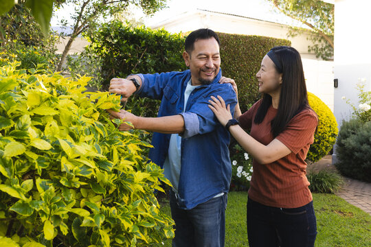 Mature Asian couple gardening together, smiling and enjoying time in backyard garden