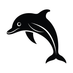 dolphin isolated on white background